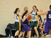 Basketball Action
